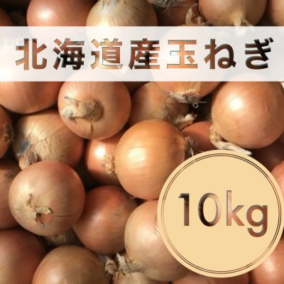 送料無料/業務用/保存用/玉ねぎ10キロLサイズ