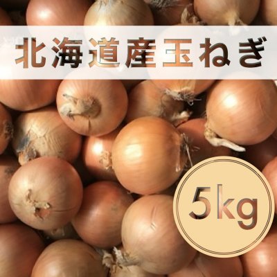 送料無料/業務用/保存用/玉ねぎ5キロLサイズ