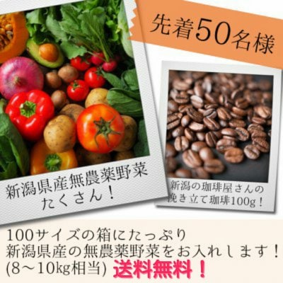 7月より発送予定!送料無料!新潟県有機野菜野菜&挽きたて珈琲詰め合わせ!
