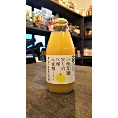 実りの収穫 三宝柑 小南農園 ストレート果汁 和歌山 有田 200ml