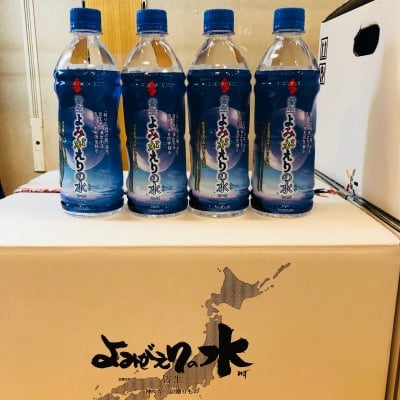 【30本入り・送料込み】皆生よみがえりの水