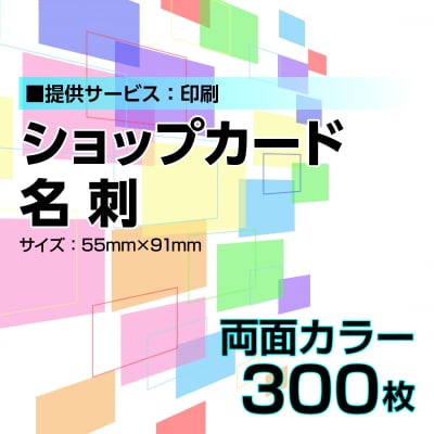 名刺・ショップカード印刷【データ支給】 片面カラー 300枚