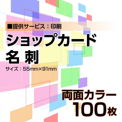 名刺・ショップカード印刷【データ支給】 両面カラー 100枚