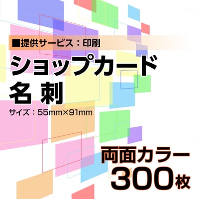 名刺・ショップカード印刷【データ支給】 両面カラー 300枚