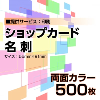 名刺・ショップカード印刷【データ支給】 両面カラー 500枚
