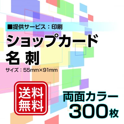 名刺・ショップカード印刷【データ支給】 片面カラー 300枚