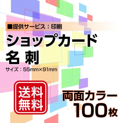 名刺・ショップカード印刷【データ支給】 両面カラー 100枚