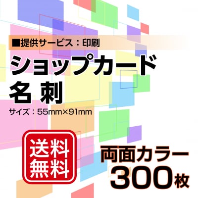 名刺・ショップカード印刷【データ支給】 両面カラー 300枚