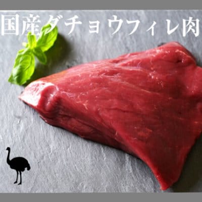 【国産高級ダチョウ】プレミアムフィレ肉 500g