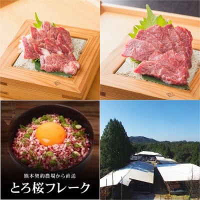 送料無料!熊本城の天守閣復興記念桜セット|プレミアム馬刺し"金乃桜"とトロ桜フレーク豪華セット