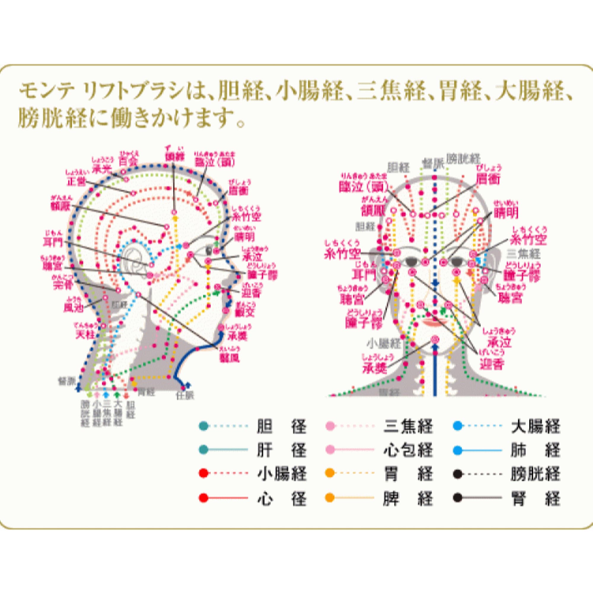 モンテ リフトブラシ プレミアム