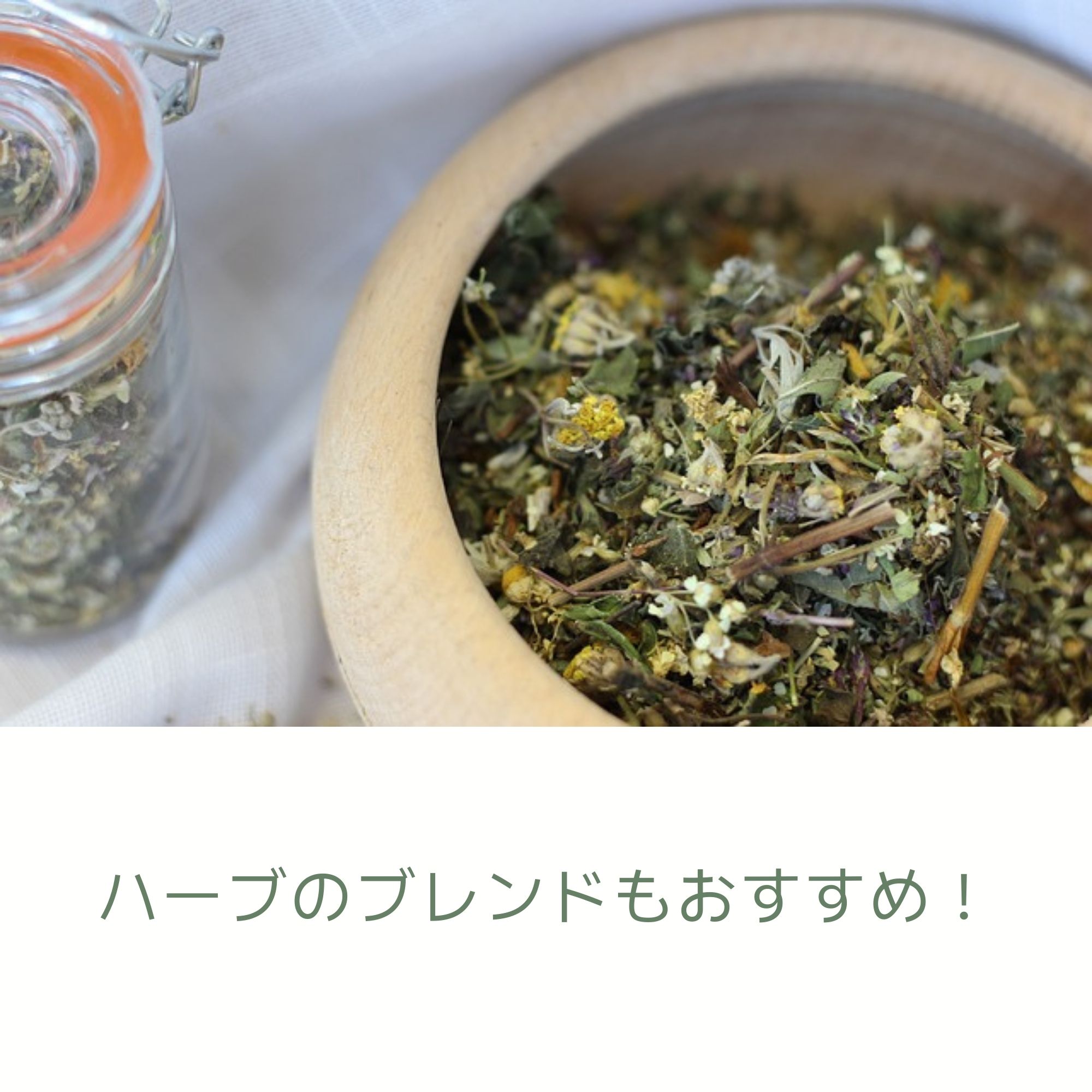 yomoginaよもぎ蒸し用ハーブ 国産セイタカアワダチソウ (200g) yomoginaよもぎ蒸し用ハーブ 国産セイタカアワダチソウ (200g)