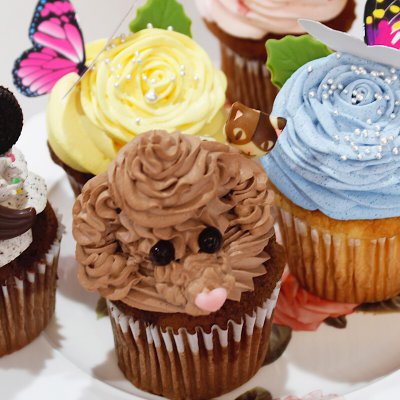 【全国発送可】生カップケーキ6ケ入りx2セット