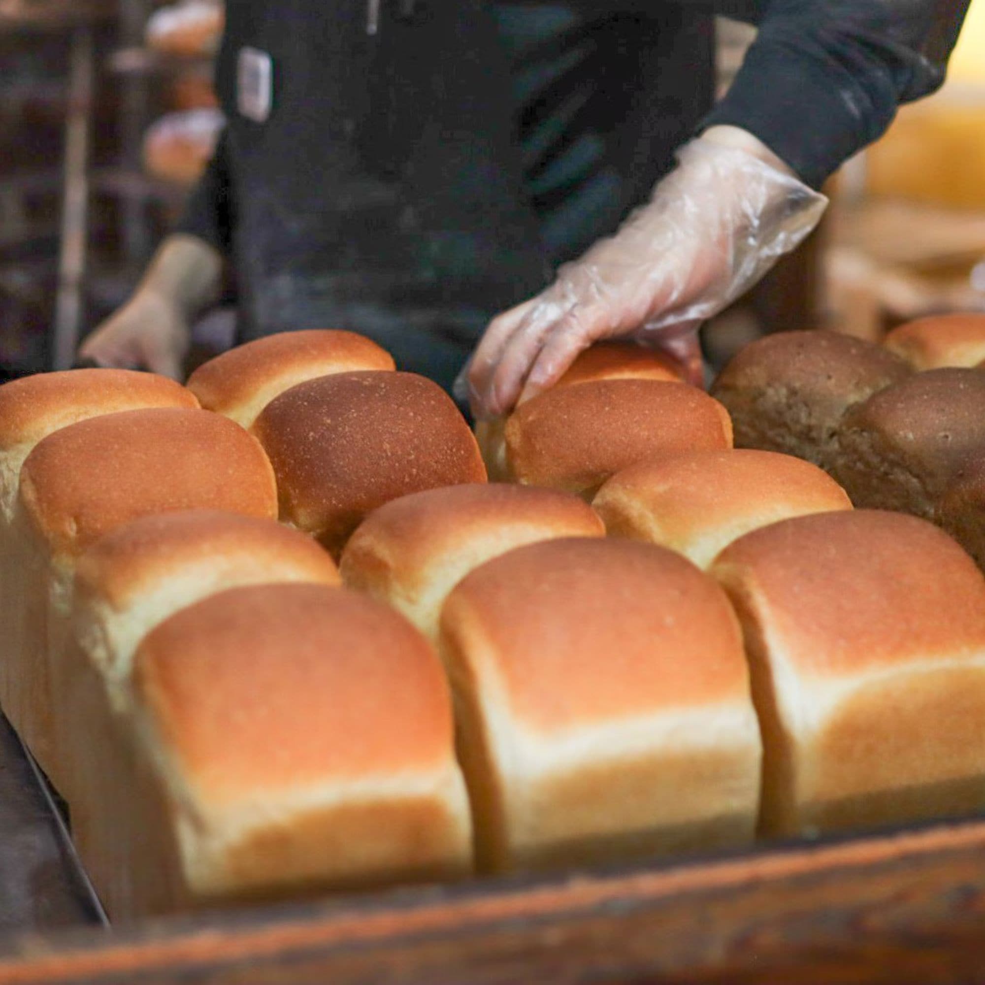 パン型いろいろ多種セット 石窯パンの人気・通販ショップ!【GURUMAN VITAL(グルマンヴィタル