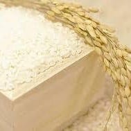 大分産 村田さんの無肥料・無農薬 ササニシキ 5kg