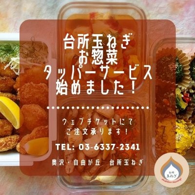 【台所玉ねぎ】お惣菜タッパーサービス【3000円】
