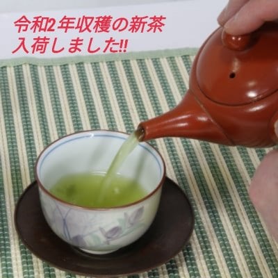 【450pt付・送料無料】新茶‼令和2年収穫酵素農法煎茶100g3本セット