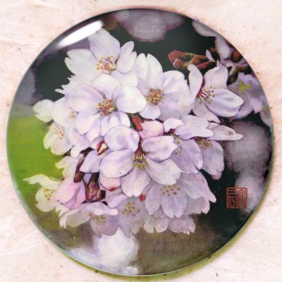 佐藤宏三画伯 「砧公園の桜」の手鏡