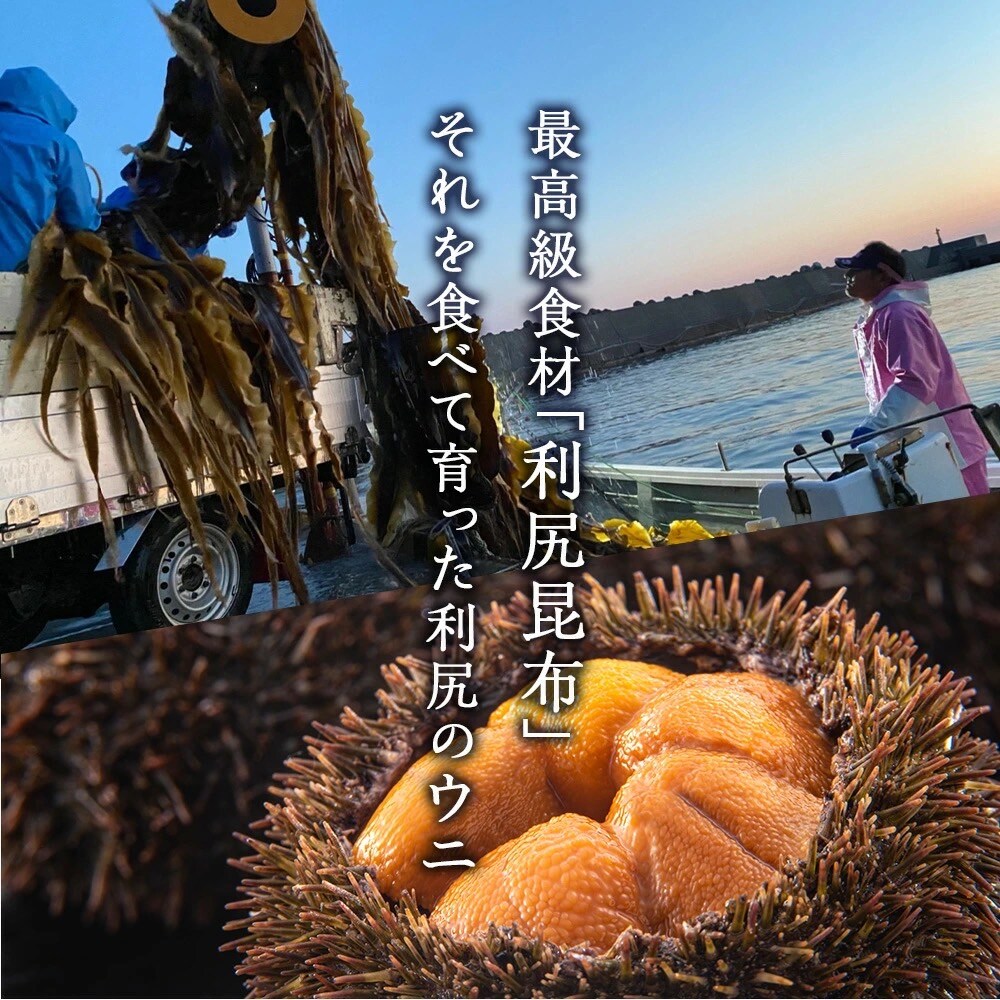まもなく解禁！クール便送料無料☆塩水パック 利尻島産 生うに