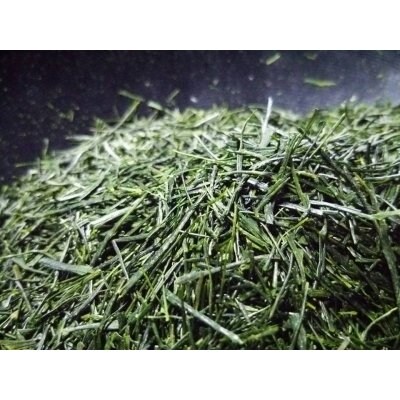 鹿児島新茶あさのか 100g