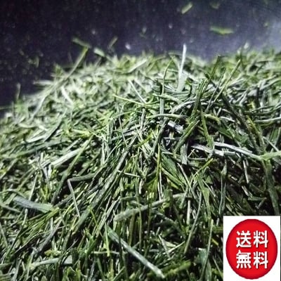 鹿児島新茶あさのか 100g