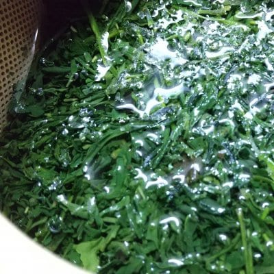 福岡 八女 新茶 きらり31 20g