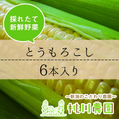 【おかげ様で完売!!】とうもろこし(ゴールドラッシュ)6本セット【新潟より直送】