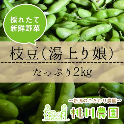 【桃川農園】枝豆(湯上り娘)2㎏セット【新潟より直送】