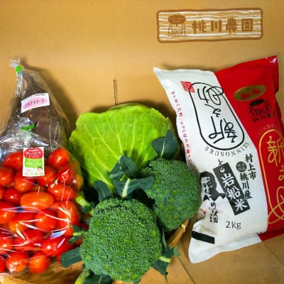 大人気!岩船産 「新之助&季節の野菜詰め合わせ」Xmas Thank youセット 【冬の桃川農園より¥3900税込、送料無料】