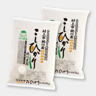 【令和2年村上市桃川農園産の新米】特別栽培米桃川産こしひかり精米【5kg×2個セット】