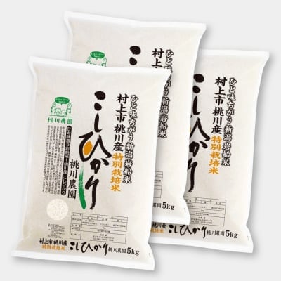 【令和元年村上市桃川農園産の新米】特別栽培米桃川産こしひかり精米【5kg×3個セット】