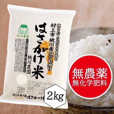 【桃川農園】桃川産特選こしひかりはさがけ米 精米【2キロ】