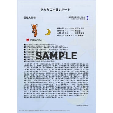 【限定価格】個性診断レポート 5点セット
