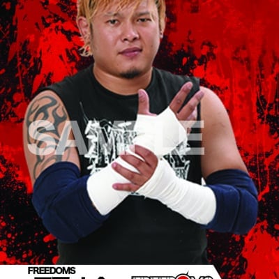 mevieプロレスカード「FREEDOMS 正岡大介」(動画固定版)