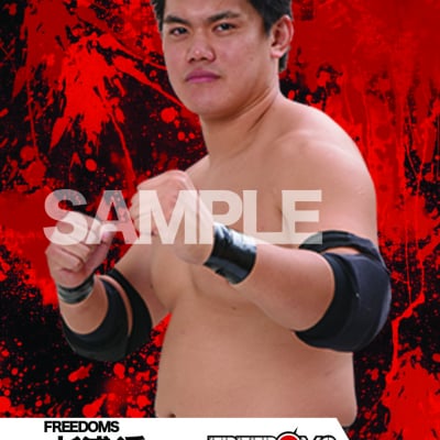 mevieプロレスカード「FREEDOMS 杉浦透」(動画固定版)
