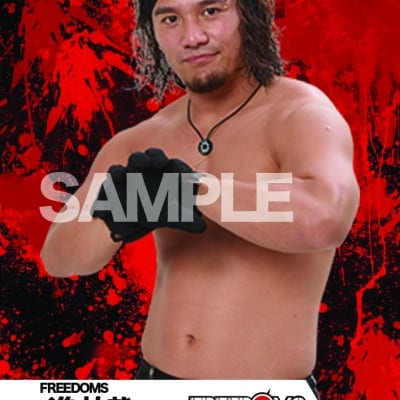 mevieプロレスカード「FREEDOMS 進祐哉」(動画固定版)