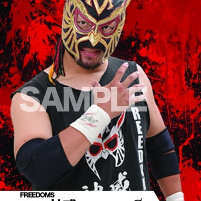 mevieプロレスカード「FREEDOMS 神威」(動画固定版)