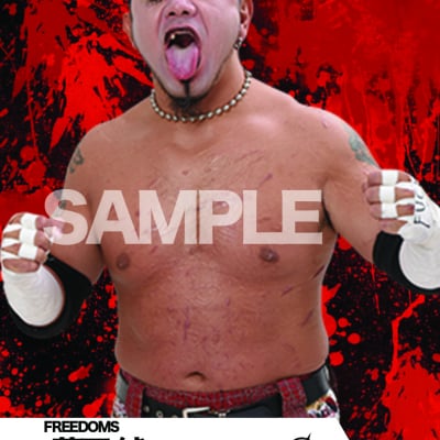 mevieプロレスカード「FREEDOMS 葛西純」(動画固定版)