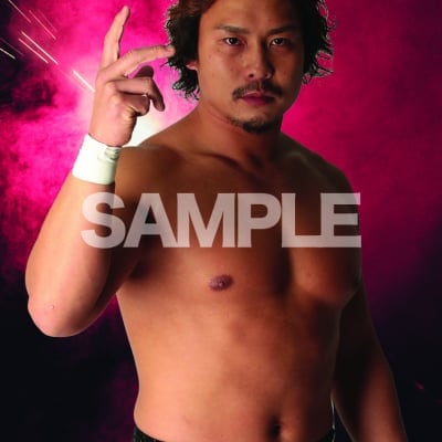 mevieプロレスカード「プロレスリングNOAH 中嶋 勝彦」(動画固定版)
