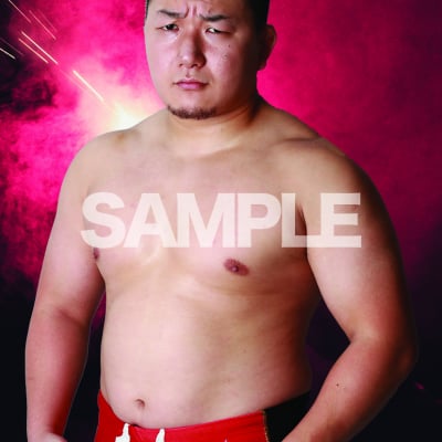 mevieプロレスカード「プロレスリングNOAH 熊野 準」(動画固定版)