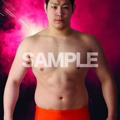 mevieプロレスカード「プロレスリングNOAH 宮脇 純太」(動画固定版)