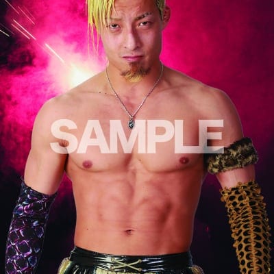 mevieプロレスカード「プロレスリングNOAH YO-HEY」(動画固定版)