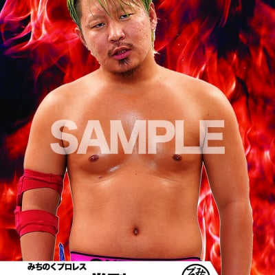mevieプロレスカード「みちのくプロレス 拳剛」(動画固定版)