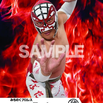 mevieプロレスカード「みちのくプロレス ラッセ」(動画固定版)