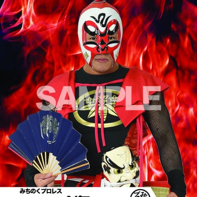 mevieプロレスカード「みちのくプロレス 剣舞」(動画固定版)