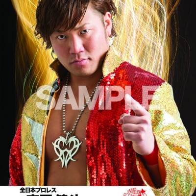 mevieプロレスカード「全日本プロレス 宮原健斗」(動画固定版)