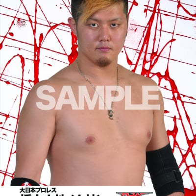 mevieプロレスカード「大日本プロレス 橋本大地」(動画固定版)