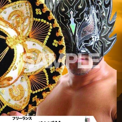 mevieプロレスカード「ツバサ」(動画固定版)
