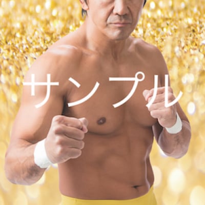 mevieプロレスカード「船木誠勝」(動画固定版)