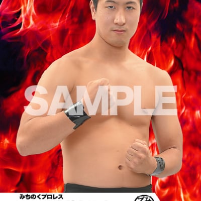 mevieプロレスカード「みちのくプロレス 川村興史 」(動画固定版)